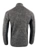 Alpine Pro Fleecejacke "Qelen" in Grau