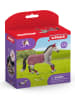 Schleich Speelfiguur "Trakehner merrierijtoernooi" - vanaf 5 jaar