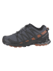 SALOMON Wandelschoenen "Xa Pro 3D v8 Gore Tex®" grijs/lichtbruin