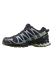 SALOMON Trailrunningschuhe "Xa Pro 3D v8 Gore-Tex" in Schwarz/ Grün/ Weiß