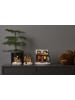 STAR Trading LED-Weihnachtszene "Tedville" in Bunt - (L)18 x (B)16 x (H)13 cm