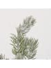 Boltze Kerstboom groen/lichtbruin - (H)54 cm