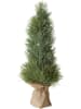 Boltze Kerstboom "Dennenboom" groen/lichtbruin - (H)42 cm