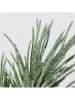 Boltze Decoratieve tak "Dennenboom" groen - (H)50 cm