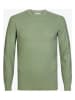 Michaelis Pullover in Grün