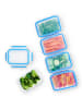 Emsa 5er-Set: Frischhaltedosen "Clip & Close" in Blau - 800 ml