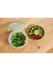 Emsa Saladecontainer "Clip & Go" groen - 2,6 l