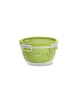 Emsa Obstbox "Clip & Go" in Grün - 1,1 l