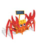HCM Krab hybrydowy - 5+