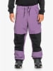 Quiksilver Ski-/snowboardbroek paars