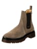 GANT Footwear Leren chelseaboots "Aligrey" lichtbruin