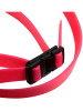 Arena Kinder-Schwimmbrille "365" in Blau/ Rot