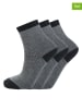 Zigzag 3er Set: Ski-/ Snowboardsocken "Lime" in Grau