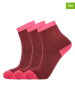 Zigzag 3er-Set: Ski-/ Snowboardsocken "Lime" in Rot