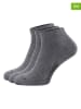 Nanga shoes 3-delige set: sokken grijs