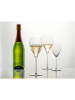 Schott Zwiesel 6-delige set: champagneglazen "Bar Special" - 348 ml