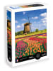 Calypto 1.000-delige puzzel "Tulpen" - vanaf 9 jaar