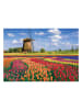 Calypto 1.000-delige puzzel "Tulpen" - vanaf 9 jaar