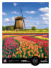 Calypto 1.000-delige puzzel "Tulpen" - vanaf 9 jaar