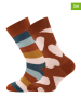ewers 2-delige set: sokken bruin/meerkleurig