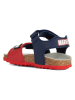 Geox Sandały "Chalki" w kolorze granatowo-czerwonym