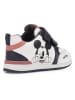 Geox Sneakers "Rishon" wit/antraciet