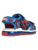 Geox Sandalen "Android" blauw/rood