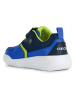 Geox Sneakers "Illuminus" blauw/groen