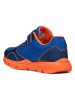 Geox Sneakers "Torque" in Blau/ Orange