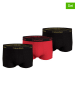 CALVIN KLEIN UNDERWEAR 3-delige set: boxershorts zwart/rood