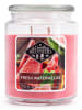 Candle Brothers Duftkerze "Fresh Watermelon" in Rosa - 510 g