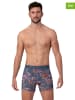 Muchachomalo 4-delige set: boxershorts blauw/zwart