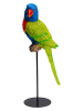 Kare Decoratieve figuur "Parrot" groen/meerkleurig - (H)36 cm
