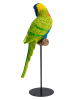 Kare Figurka dekoracyjna "Parrot" w kolorze zielonym ze wzorem - wys. 36 cm