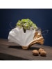 Kare Vase "Ginkgo Elegance" in Weiß - (B)25 x (H)18 cm