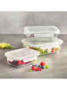 Sauter 3-delige set: vershouddozen transparant/wit