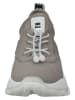 Steve Madden Sneakersy w kolorze szarym
