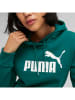 Puma Hoodie "ESS" groen
