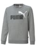 Puma Sweatshirt "ESS+" in Grau