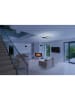 FISCHER & HONSEL LED-Deckenleuchte "Blithe" in Schwarz - (L)50 x (B)50 cm
