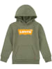 Levi's Kids Hoodie in Khaki