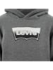 Levi's Kids Hoodie in Grau