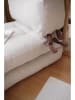 Scandinavia Concept Sofa in Creme - (B)60 x (H)70 x (T)80 cm