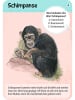 moses. Kartenset "50 Tierkinder" - ab 6 Jahren