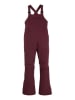 Burton Ski-/ Snowboardhose "Avalon 2L Stretch" in Bordeaux