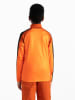 Dare 2b Koszulka funkcyjna "Pow Core Stretch" w kolorze pomarańczowym