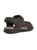 Geox Sandalen "Spherica" in Braun