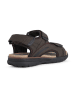 Geox Sandały "Spherica" w kolorze brązowym