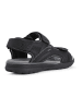 Geox Sandały "Spherica" w kolorze czarnym