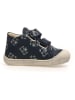 Naturino Leren loopleerschoenen "Cocoon" donkerblauw